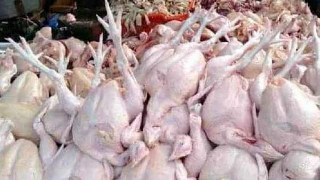 Ilustrasi daging ayam di pasar tradisional Jember (Istimewa)
