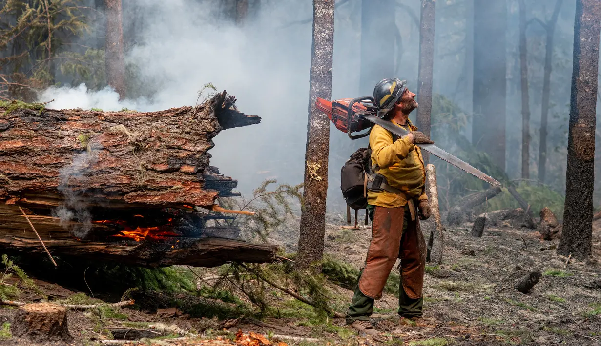 <p>Seorang petugas pemadam kebakaran berusaha untuk menahan api Cedar Creek di sebelah timur Oakridge, Oregon, Senin (12/9/2022). Petugas pemadam kebakaran mengatakan dalam beberapa hari ini terjadi pertumbuhan api yang ekstrem di timur dan barat. (Photo by Dan Morrison/AFP)</p>