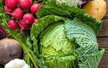 4 Fakta Kesejahteraan Petani Jatim Meningkat selama Lima Tahun Terakhir, Sektor Holtikultura Paling Cuan
