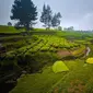 Potret camping ground yang berada di Nuansa Riung Gunung. (dok. Instagram @fikri_iyo/https://www.instagram.com/p/CPFQBnGr8-w//Gabriella Ajeng Larasati)