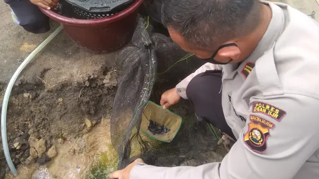 Edukasi Ketahanan Pangan Saat Pandemi Covid-19 ala Polisi di Ogan Ilir