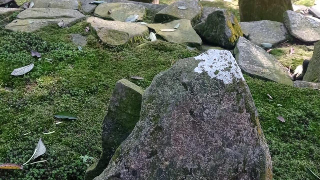 Ditemukan Banyak Batu Tegak dan Batu Halus yang Tersusun Rapi