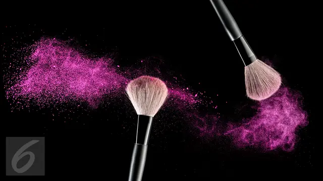 Kuas Makeup atau Brush Makeup