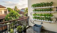 9 Model Hidroponik Bertingkat untuk Balkon Rumah, Hemat Tempat dan Mudah Dibuat