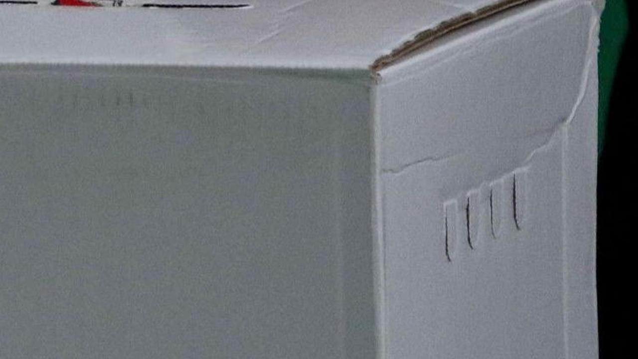 Bawaslu Catat Pelanggaran hingga Masalah Hukum Pemungutan Suara di Osaka, Ini Temuannya