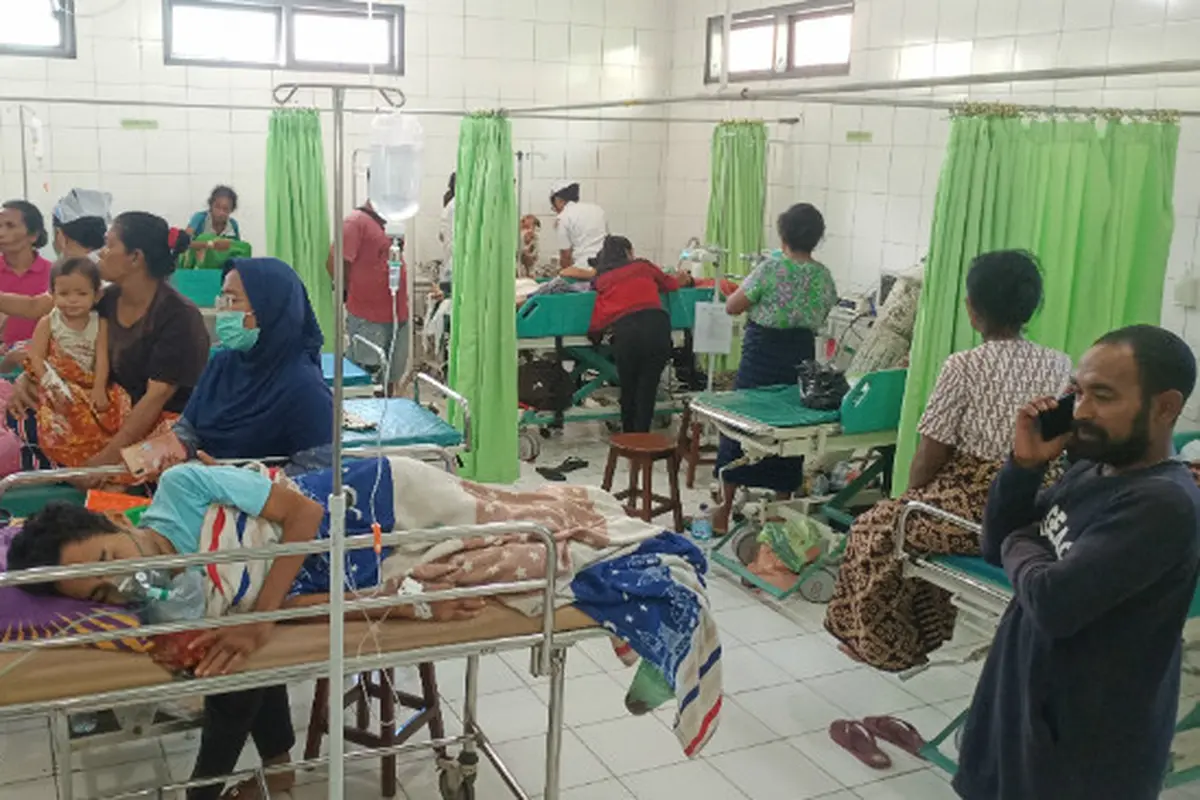 Kasus DBD di Sikka NTT Meningkat