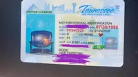 Dapat SIM dengan Foto Kursi Kosong, Wanita Ini Viral