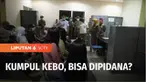 RKUHP pasal perzinaan ramai di media sosial. Sejumlah pihak menilai pasal ini terlalu mengurusi privasi, namun ada pula yang setuju. Yang menjadi sorotan juga, apakah pasangan tanpa ikatan pernikahan yang tinggal satu atap bisa dipidana?