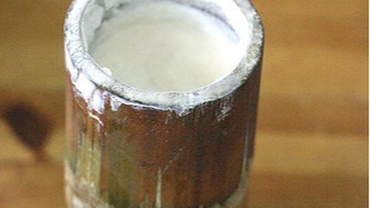 Makanan Fermentasi Asli Indonesia