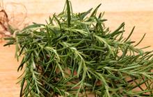 7 Macam Tanaman Herbal yang Bisa Bikin Cantik Taman di Rumah, Bonus Khasiatnya untuk Kesehatan