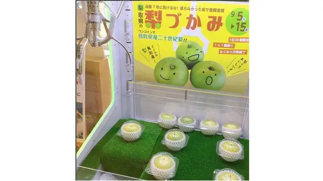Bukan Boneka, 7 Potret Isi Mesin Capit Ini Bikin Orang Menyesal Kalau Gagal
