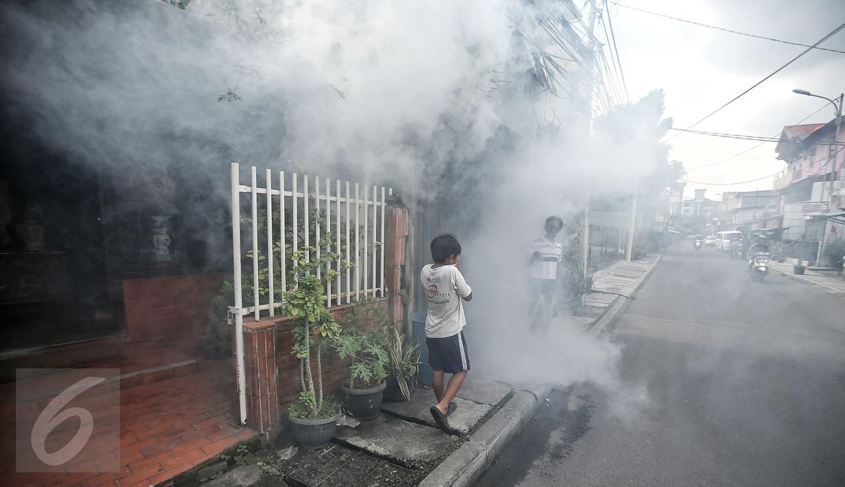Seorang anak menutup hidungnya saat dilakukan pengasapan (Fogging) di kelurahan Menteng, Jakarta, Senin (8/2). Pengasapan dilakukan untuk mencegah wabah penyakit demam berdarah yang kerap muncul pada peralihan musim. (Liputan6.com/Faizal Fanani)