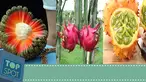 (Liputan6.com)