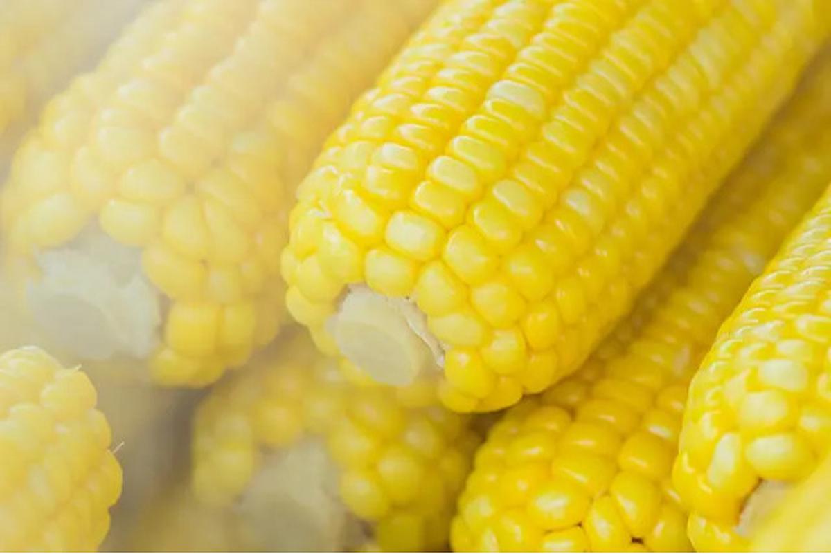 Resep Dadar Jagung Kukus, Alternatif Gorengan yang Bisa Jadi MPASI