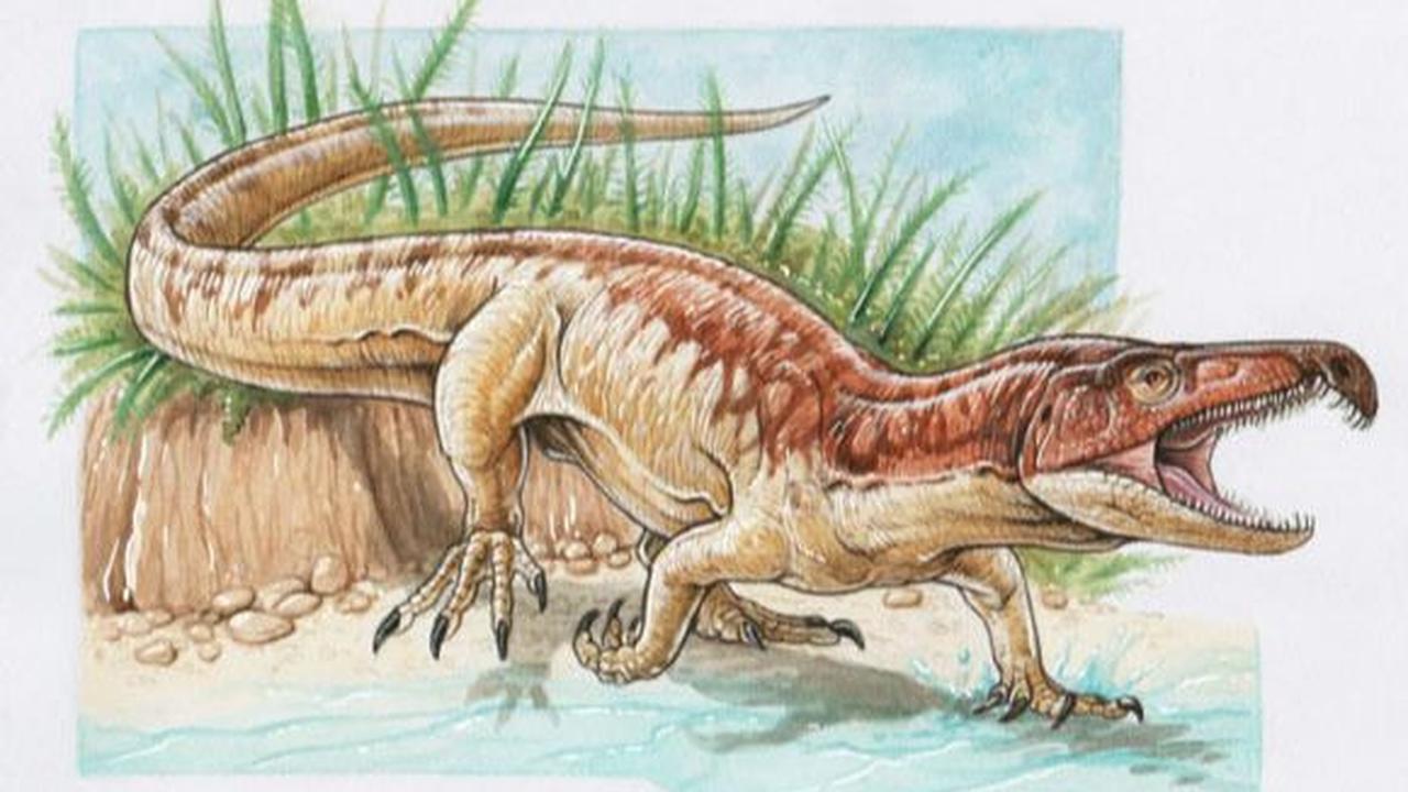 Reptil Purba Proterosuchus