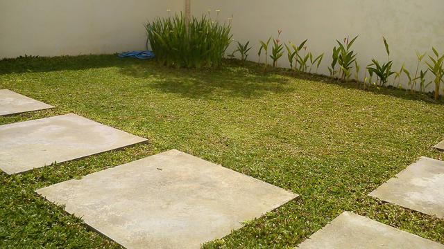 Ragam Jenis Rumput  untuk Taman Rumah  Properti Liputan6 com