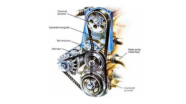 timing belt