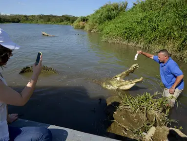 Seorang wanita mengambil gambar seorang petugas yang sedang memberi makan seekor buaya di Sungai Tarcoles, Rio Grande, Kosta Rika, Jumat (13/3/2015). Buaya menjadi daya tarik objek wisata Sungai Tarcoles. (AFP Photo/Ezequiel Becerra) 