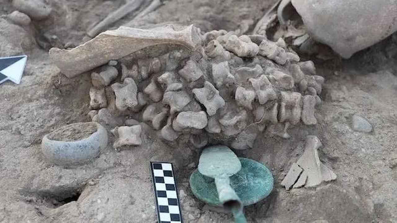 Ada sekitar 180 tulang pergelangan kaki astragalus, yang kemungkinan berasal dari domba atau sapi, serta tiga tulang bahu sapi.&nbsp;