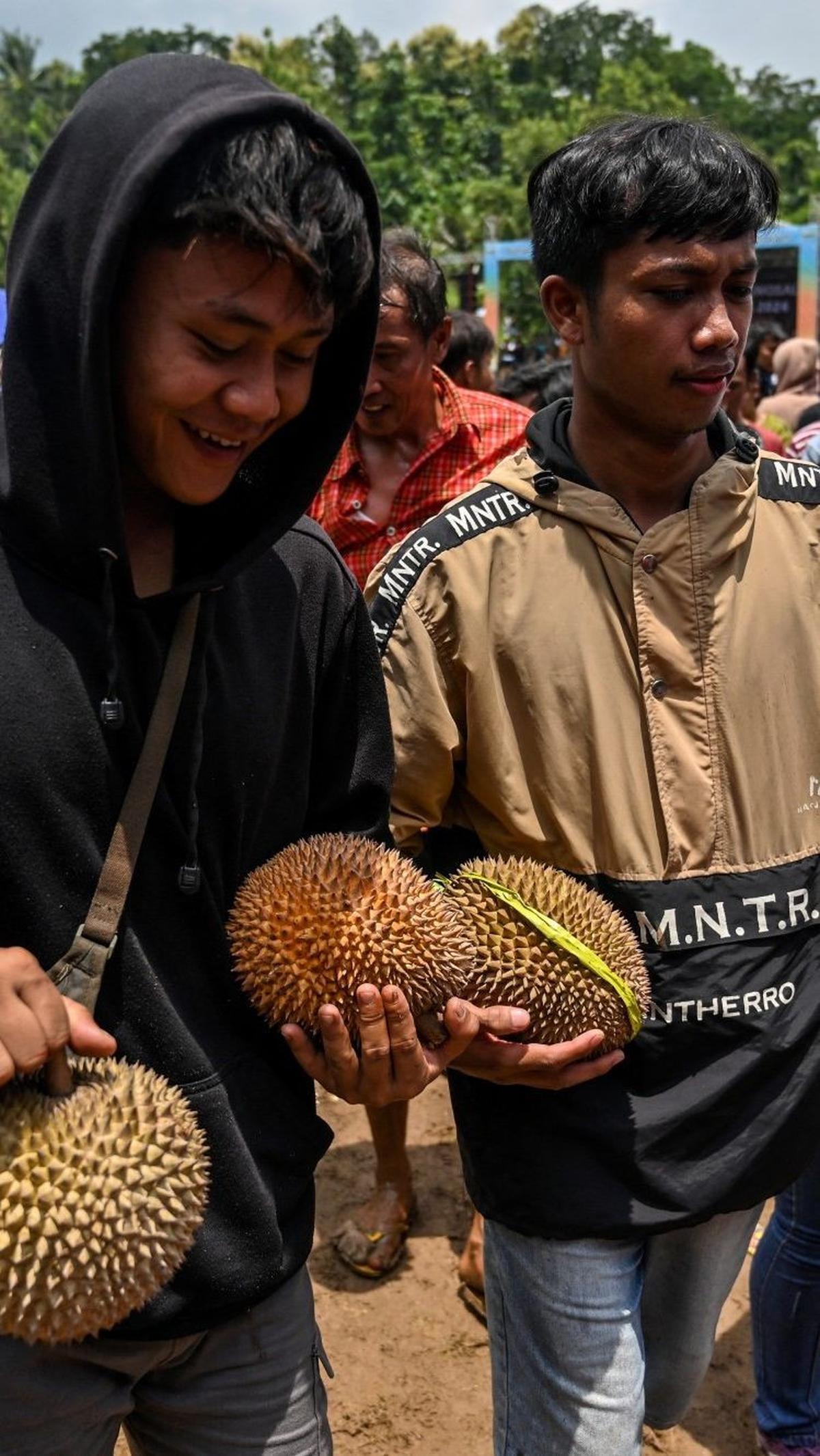 Meskipun beberapa orang tak begitu menyukai aroma khas durian, namun bagi penggemarnya, buah ini tetap dianggap favorit dan istimewa.&nbsp;Foto: JUNI KRISWANTO / AFP<br>
