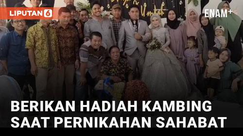 VIDEO: Hadiahkan Anak Kambing, Aksi Sekumpulan Pria Berikan Kejutan Sahabatnya yang Nikah