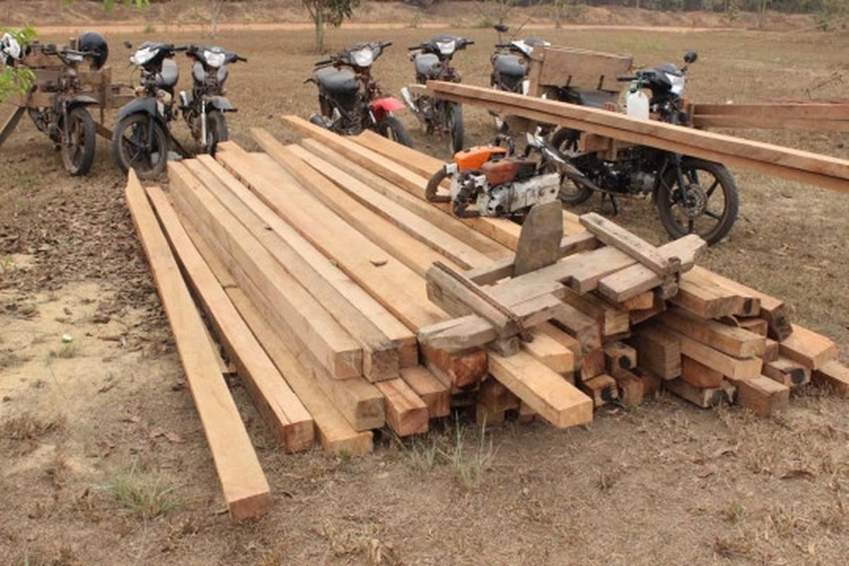 Aksi Marinir gagalkan illegal logging di Taman Nasional Sembilang