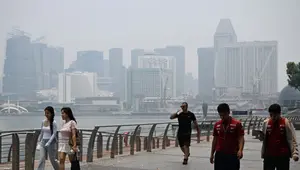 Penjelasan Ilmiah Asap Kebakaran Hutan RI Tembus Singapura-Malaysia
