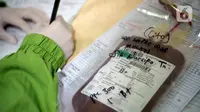 Staf Laboratorium Palang Merah Indonesia (PMI) Kota Tangerang melakukan pendataan stok darah yang ada di Laboratorium PMI Kota Tangerang, Banten, Jumat (28/8/2020). PMI Kota Tangerang menyatakan ketersediaan stok darah berkurang drastis. (Liputan6.com/Angga Yuniar)