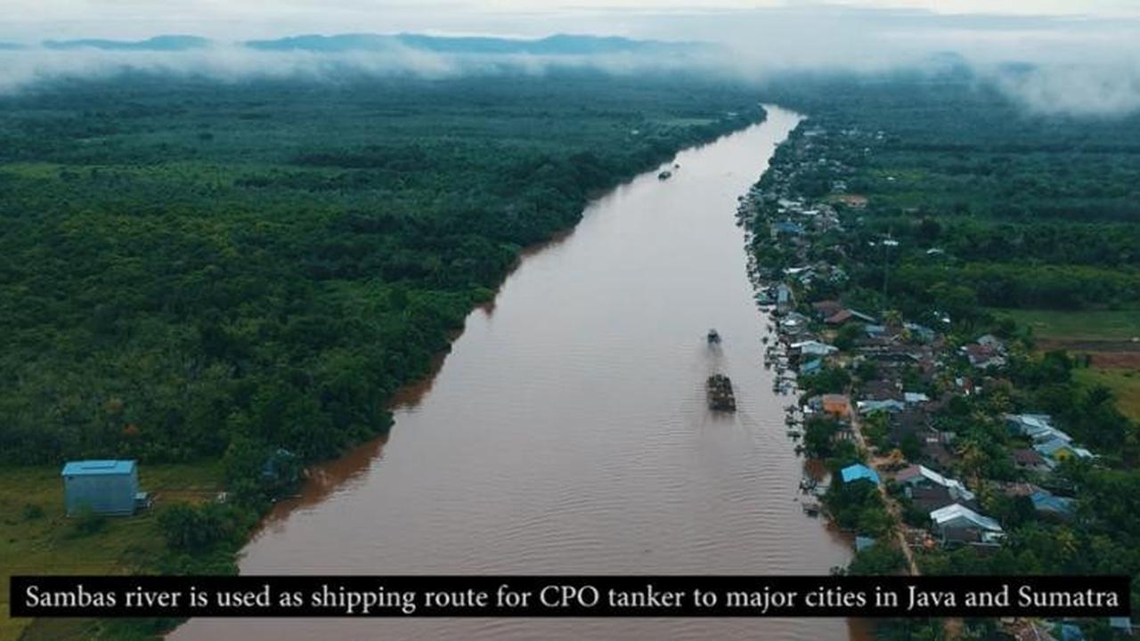 Cerita Perjuangan Jurnalis Peduli Lingkungan Hidup sampai Diganjar Penghargaan