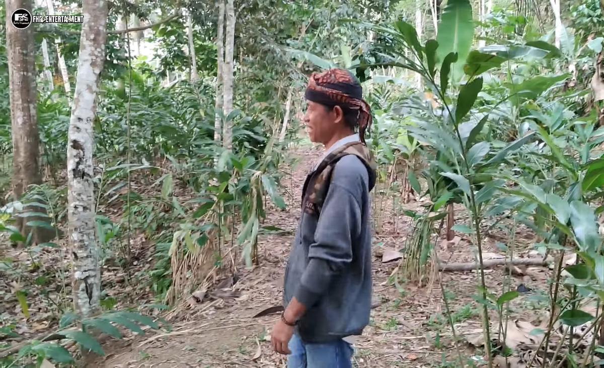 Kisah dalang yang hidup menyepi di tengah hutan Tasikmalaya