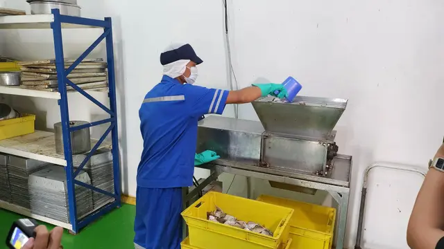 Melihat langsung proses pembuatan susu ikan di pabrik PT. Berikan Bahari Indonesia. (Foto Ade Nasihudin/Liputan6com)
