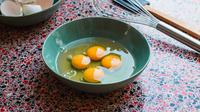 ilustrasi telur ayam/Photo by Louis Hansel @shotsoflouis on Unsplash