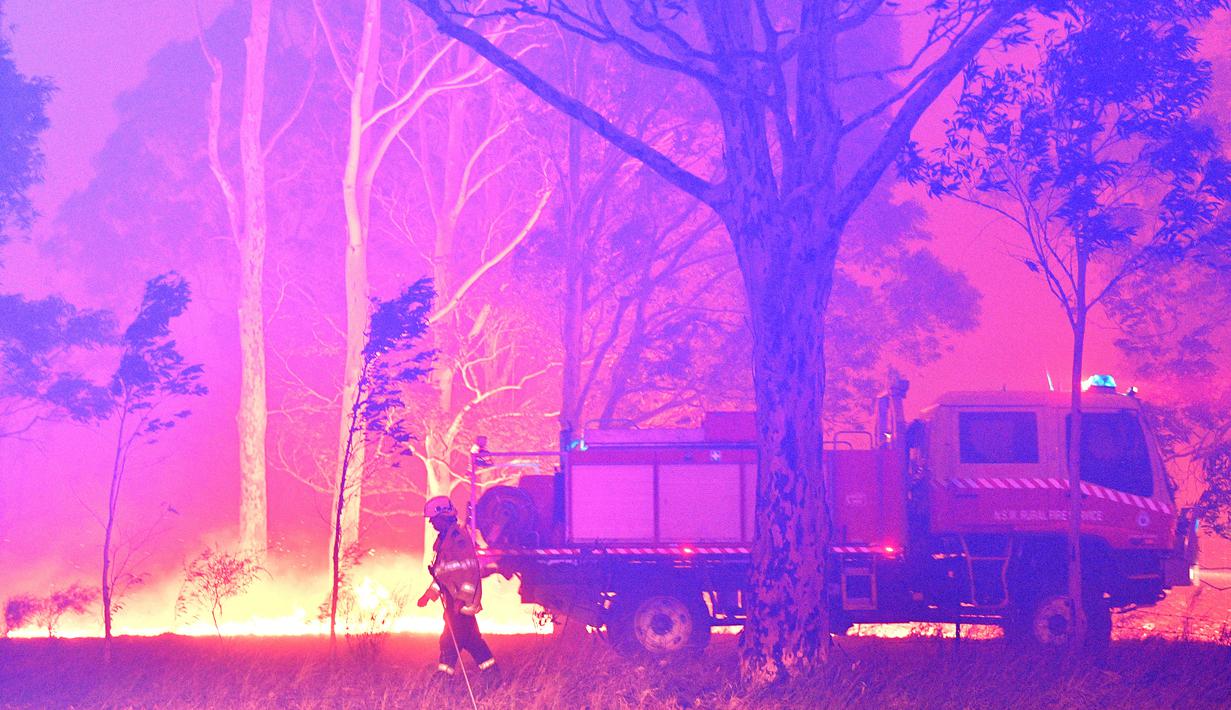 Petugas pemadam saat berusaha memadamkan api akibat kebakaran hutan di sekitar kota Nowra, negara bagian New South Wales, Australia, Selasa (31/12/2019). Kebakaran hutan ini diketahui telah menghanguskan ratusan rumah warga. (AFP/Saeed Khan)