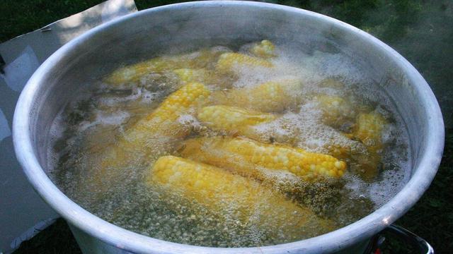Boiling Corn