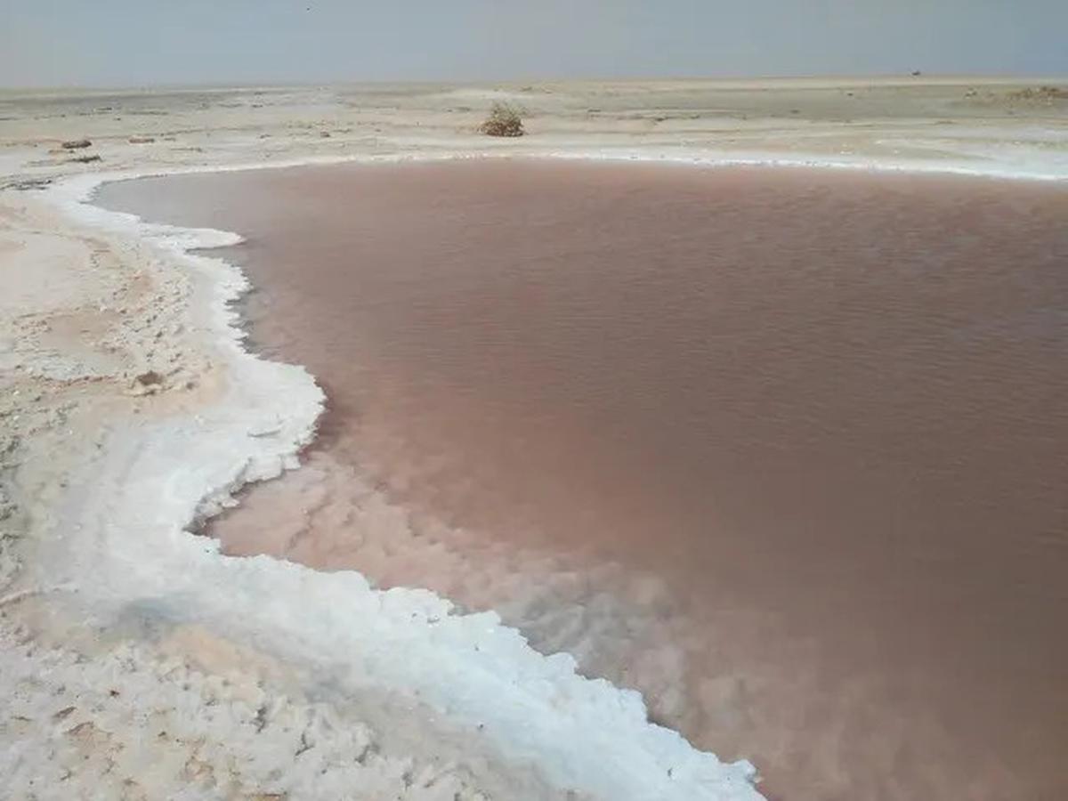 6 Danau yang Masih Ada di Gurun Sahara, Jadi Keajaiban Alam Tak Terduga