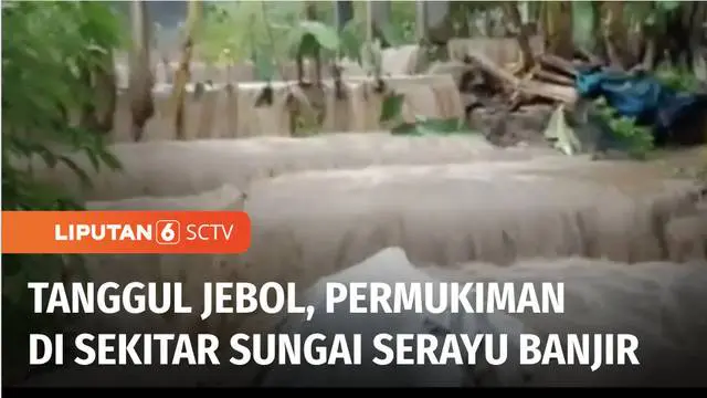 Diduga tak kuat menahan debit air yang terus bertambah, tanggul di aliran anak Sungai Serayu, Kabupaten Wonosobo, Jawa Tengah, jebol. Arus air luapan anak sungai Serayu mengalir deras, menuju kawasan permukiman.