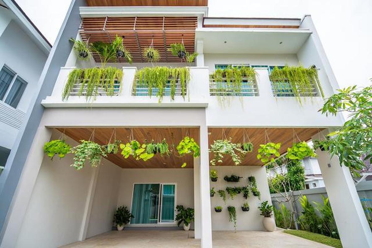 10 Model Tampak Depan Rumah Minimalis Asri dengan Tanaman Rambat, Bikin Hunian Teduh