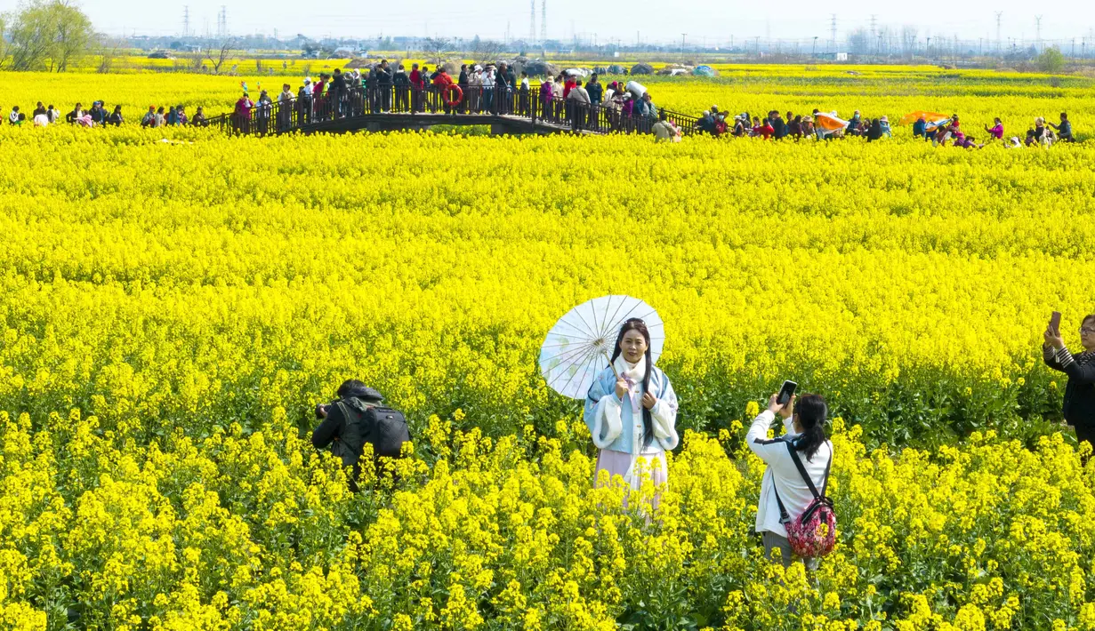 Foto yang diambil pada 19 Maret 2023 ini menunjukkan orang-orang mengambil foto di antara Bunga canola atau dikenal juga dengan nama rapeseed yang bermekaran di area pemandangan Xinghua Qianduo di Taizhou, di provinsi Jiangsu timur China. (Photo by STR / AFP)