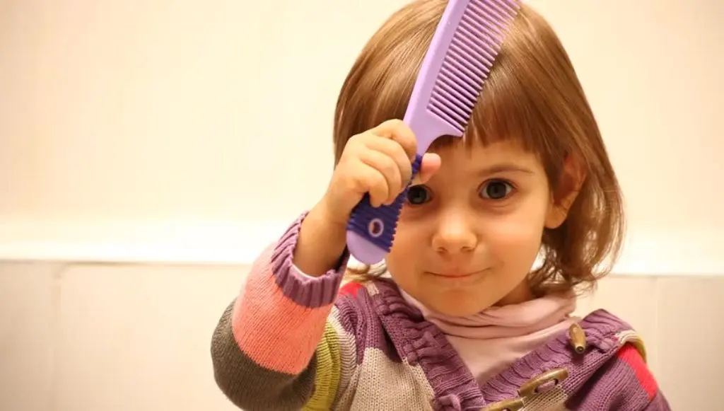 Sisir. (Via: shutterstock.com)