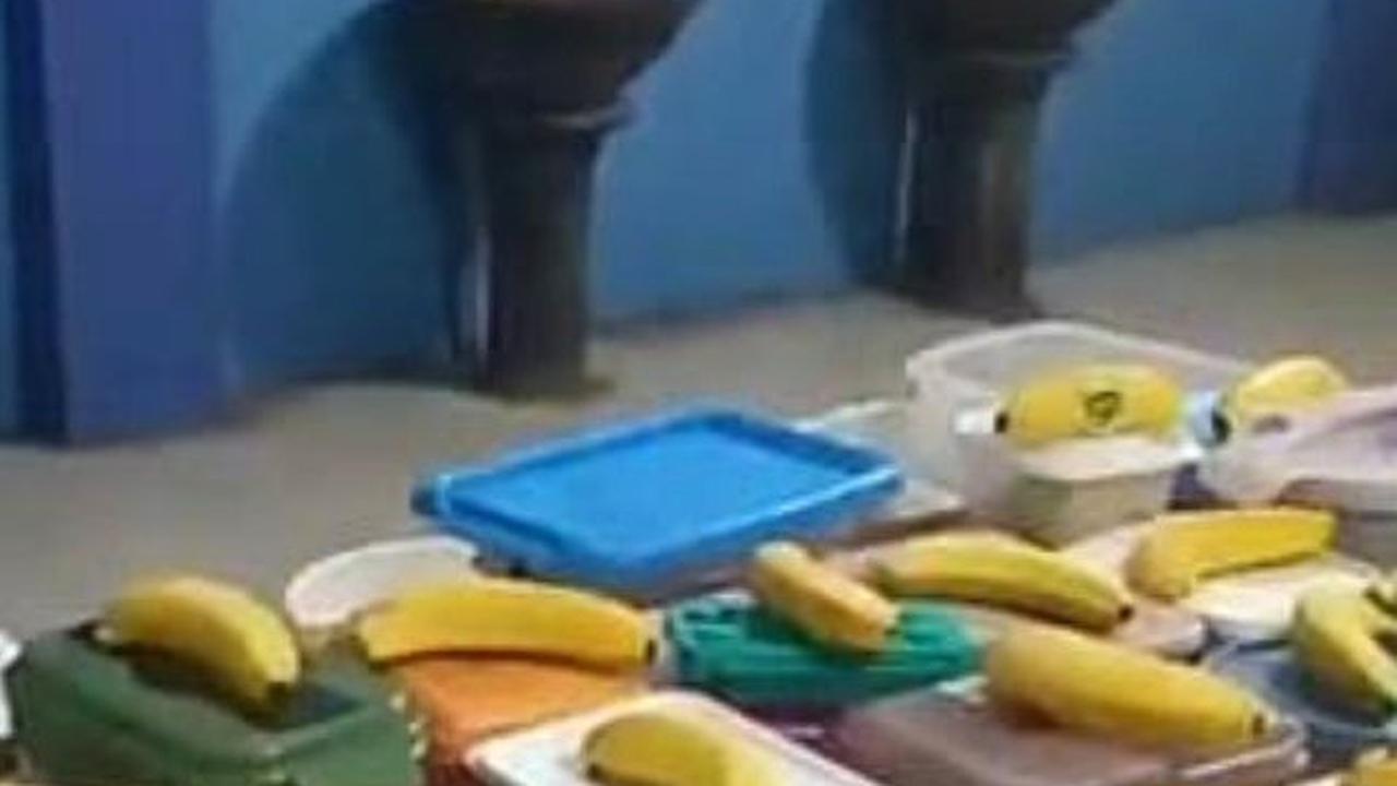 Gaduh Dana Bos untuk Program Makan Siang Gratis Prabowo-Gibran, Begini Penjelasan Airlangga