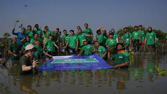 Menanam Mangrove