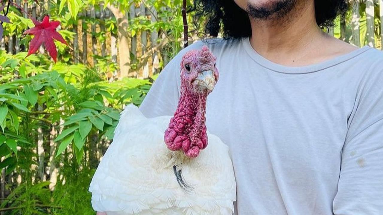Ini kabar terbaru Isa Bajaj yang kini balik kampung.