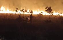 350 Hektare Lahan Taman Nasional Way Kambas Terbakar