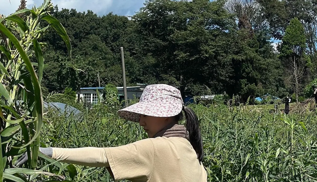 Kim Ji Won tampil super unik dengan outfitnya di drama My Liberation Notes. Kim Ji Won yang berada di tengah ladang hijau, mengenakan manset dan kaus cokelat yang senada, sarung tangan abu-abu, handuk cokelat, dan topi bercorak floral. [Foto: Instagram/geewonii]