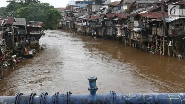 Penampakan Bantaran Ciliwung yang akan Dinormalisasi Pemprov DKI Jakarta