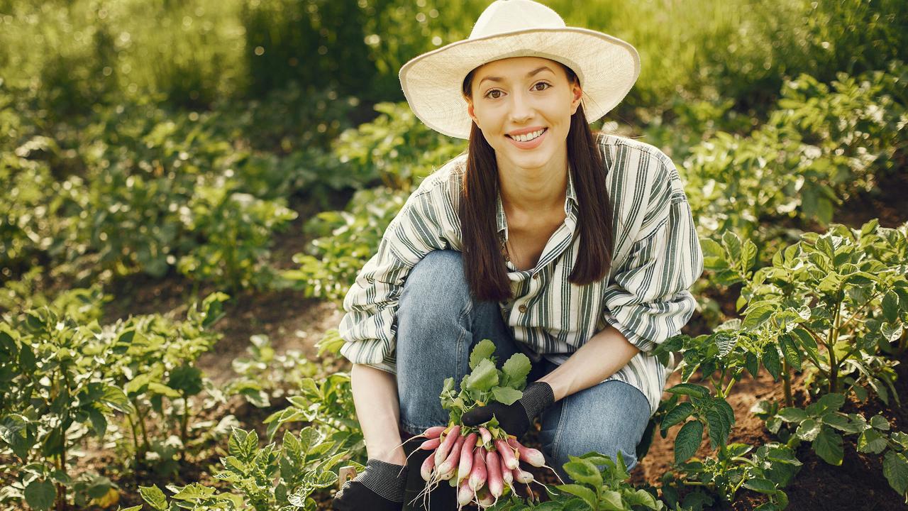 Manfaat Berkebun untuk Kesehatan: Aktivitas Fisik yang Menyenangkan dan Menenangkan Pikiran