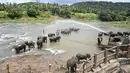 Seorang mahout menyemprotkan air ke gajah selama mandi harian di sungai di Panti Asuhan Gajah Pinnawala di Pinnawala, Kolombo (11/8/2020). Hari Gajah Sedunia dirayakan setiap tahun pada 12 Agustus untuk menyebarkan kesadaran tentang pelestarian dan perlindungan gajah. (AFP/Lakruwan Wanniarachchi)