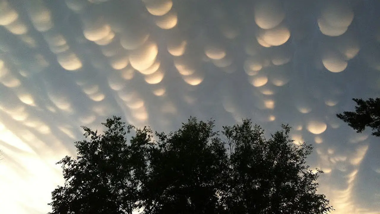Awan Mammatus