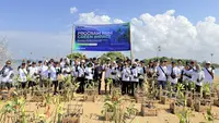 Tanam 22 Ribu Mangrove, PNM Dorong Kelestarian Lingkungan Sekaligus Ekonomi Pesisir