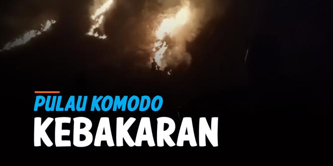 VIDEO: Pulau Komodo Kebakaran, 10 Hektar Lahan Hutan Hangus